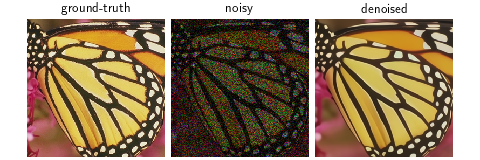 ../../_images/deepinv-models-AnscombeDenoiser-1.png