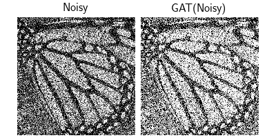 Noisy, GAT(Noisy)