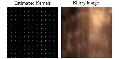 Estimated Kernels, Blurry Image