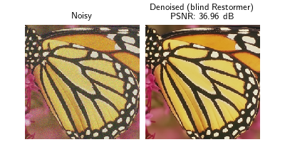 Noisy, Denoised (blind Restormer)  PSNR: 36.96 dB