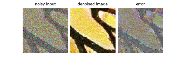 noisy input, denoised image, error