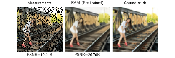 Measurements, RAM (Pre-trained), Ground truth