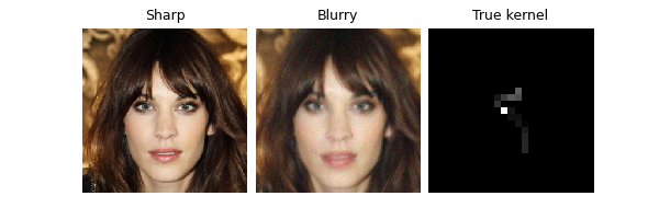 Sharp, Blurry, True kernel
