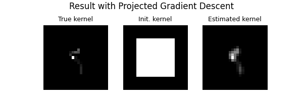Result with Projected Gradient Descent, True kernel, Init. kernel, Estimated kernel