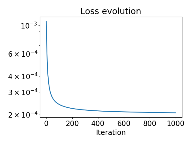 Loss evolution