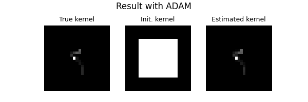 Result with ADAM, True kernel, Init. kernel, Estimated kernel