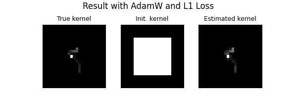 Result with AdamW and L1 Loss, True kernel, Init. kernel, Estimated kernel