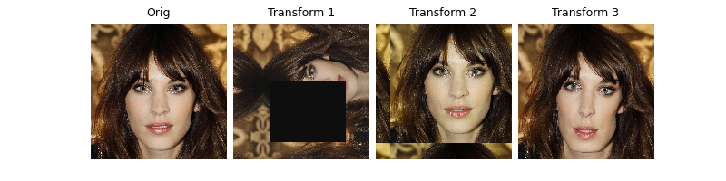 Orig, Transform 1, Transform 2, Transform 3